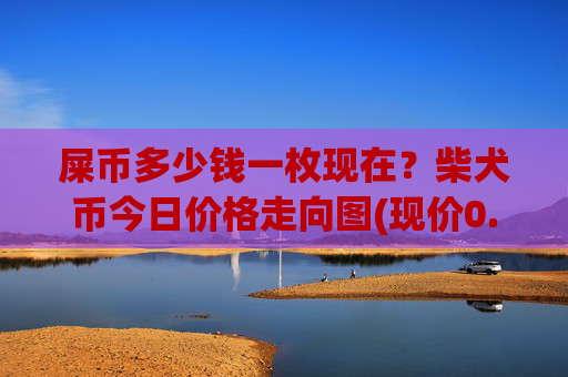 屎币多少钱一枚现在？柴犬币今日价格走向图(现价0.00013888元)