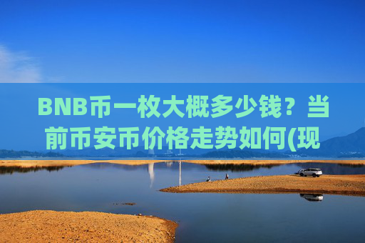 BNB币一枚大概多少钱？当前币安币价格走势如何(现价4695.23元)