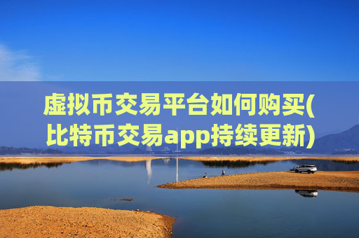 虚拟币交易平台如何购买(比特币交易app持续更新)