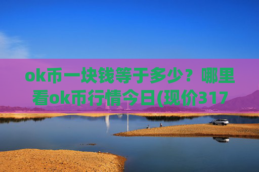 ok币一块钱等于多少？哪里看ok币行情今日(现价317.05元)