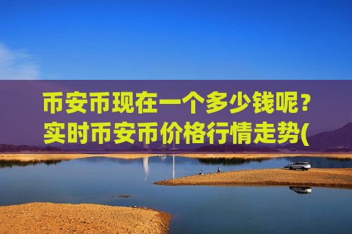 币安币现在一个多少钱呢?实时币安币价格行情走势(现价4654.46元)