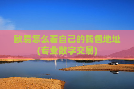 欧易怎么看自己的钱包地址(专业数字交易)