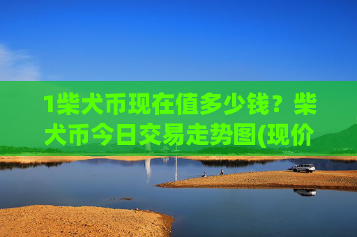 1柴犬币现在值多少钱？柴犬币今日交易走势图(现价0.00014473元)