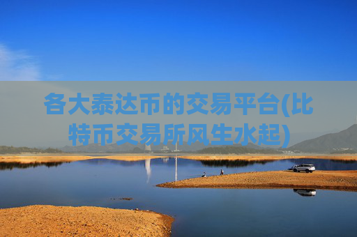 各大泰达币的交易平台(比特币交易所风生水起)