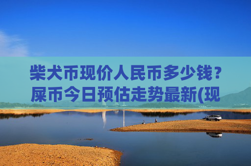 柴犬币现价人民币多少钱？屎币今日预估走势最新(现价0.00014216元)
