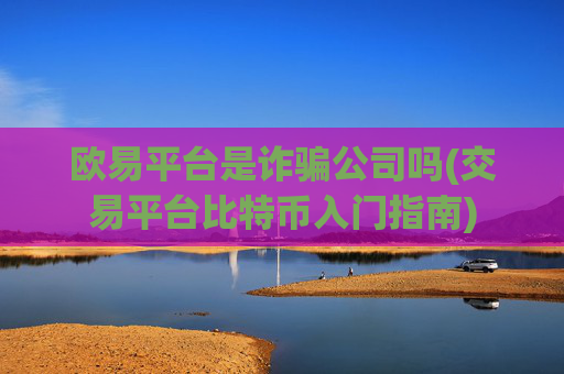 欧易平台是诈骗公司吗(交易平台比特币入门指南)