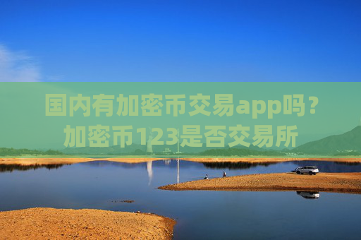 国内有加密币交易app吗？加密币123是否交易所