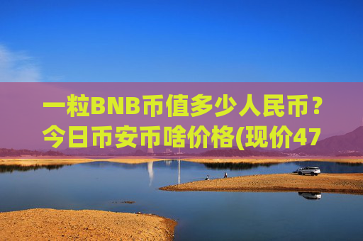 一粒BNB币值多少人民币？今日币安币啥价格(现价4701.55元)