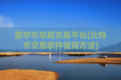 数字币早期交易平台(比特币交易软件使用方法)