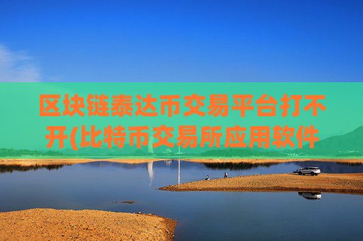 区块链泰达币交易平台打不开(比特币交易所应用软件对比)