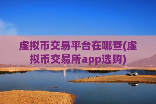 虚拟币交易平台在哪查(虚拟币交易所app选购)