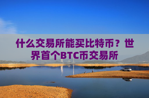什么交易所能买比特币？世界首个BTC币交易所