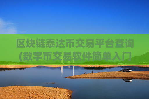 区块链泰达币交易平台查询(数字币交易软件简单入门)