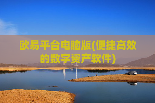 欧易平台电脑版(便捷高效的数字资产软件)