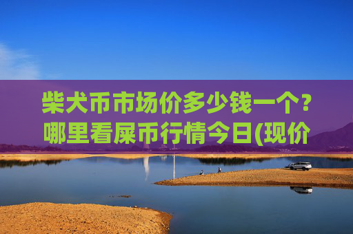 柴犬币市场价多少钱一个？哪里看屎币行情今日(现价0.00014835元)
