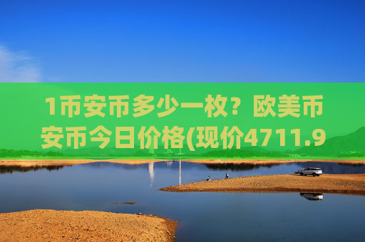 1币安币多少一枚？欧美币安币今日价格(现价4711.98元)