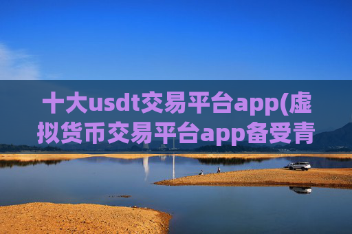 十大usdt交易平台app(虚拟货币交易平台app备受青睐)