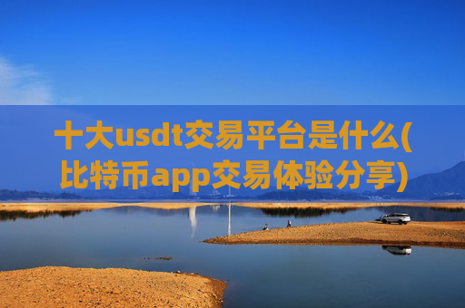 十大usdt交易平台是什么(比特币app交易体验分享)
