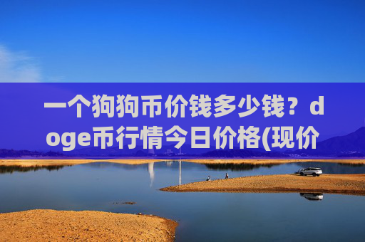 一个狗狗币价钱多少钱？doge币行情今日价格(现价2.1666元)