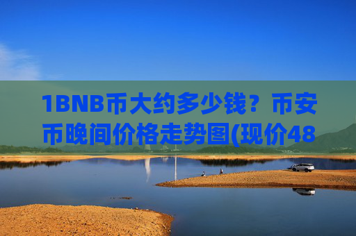 1BNB币大约多少钱？币安币晚间价格走势图(现价4863.63元)