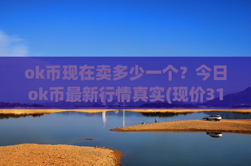 ok币现在卖多少一个？今日ok币最新行情真实(现价319.913元)