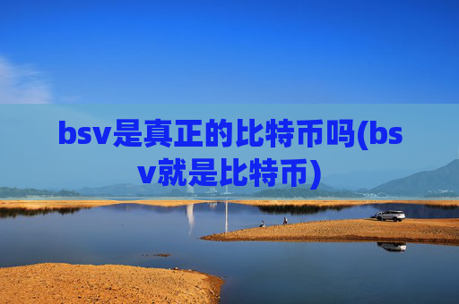 bsv是真正的比特币吗(bsv就是比特币)