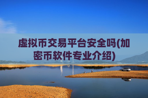 虚拟币交易平台安全吗(加密币软件专业介绍)