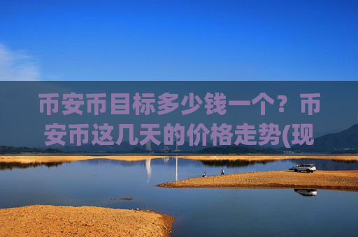 币安币目标多少钱一个？币安币这几天的价格走势(现价4861.66元)