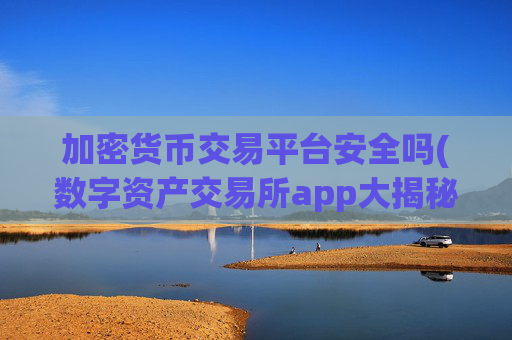 加密货币交易平台安全吗(数字资产交易所app大揭秘)