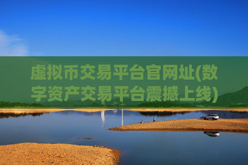 虚拟币交易平台官网址(数字资产交易平台震撼上线)
