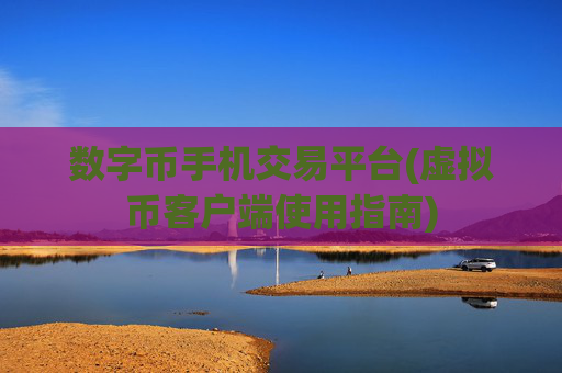 数字币手机交易平台(虚拟币客户端使用指南)