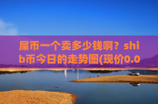 屎币一个卖多少钱啊？shib币今日的走势图(现价0.00015644元)