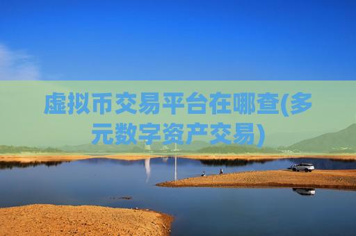 虚拟币交易平台在哪查(多元数字资产交易)
