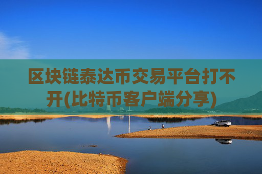 区块链泰达币交易平台打不开(比特币客户端分享)
