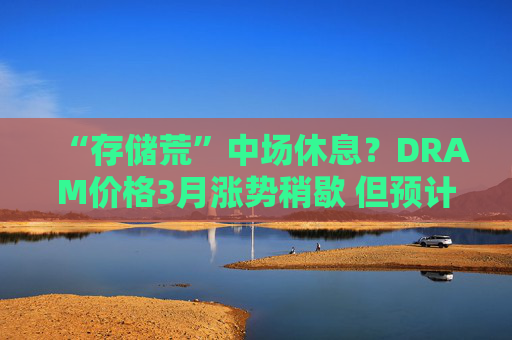 “存储荒”中场休息？DRAM价格3月涨势稍歇 但预计Q2继续上涨