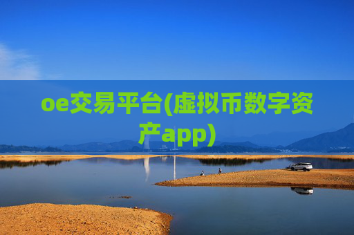 oe交易平台(虚拟币数字资产app)