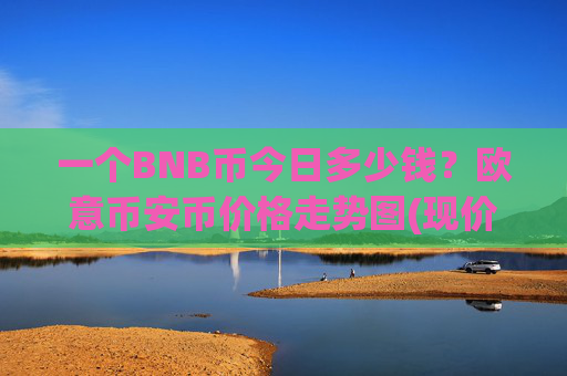 一个BNB币今日多少钱？欧意币安币价格走势图(现价4886.94元)