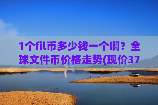 1个fil币多少钱一个啊？全球文件币价格走势(现价37.7536元)