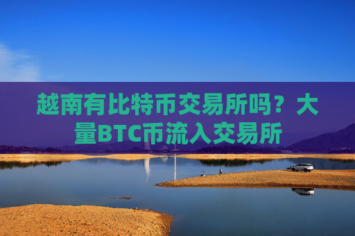 越南有比特币交易所吗？大量BTC币流入交易所
