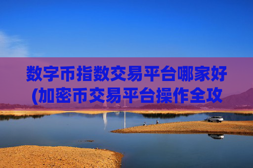 数字币指数交易平台哪家好(加密币交易平台操作全攻略)