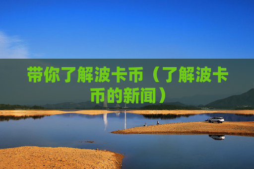 带你了解波卡币（了解波卡币的新闻）
