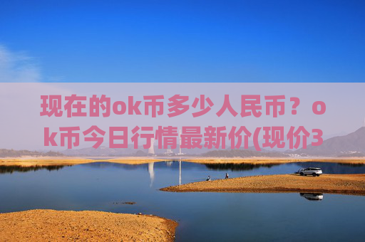 现在的ok币多少人民币？ok币今日行情最新价(现价317.157元)