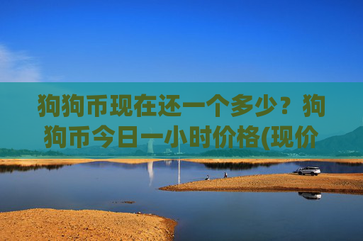 狗狗币现在还一个多少？狗狗币今日一小时价格(现价1.9506元)