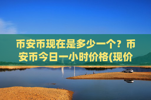 币安币现在是多少一个？币安币今日一小时价格(现价4565.52元)