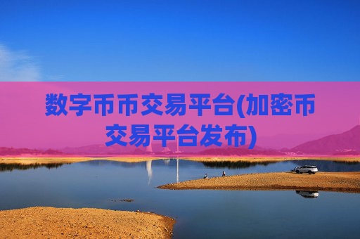 数字币币交易平台(加密币交易平台发布)