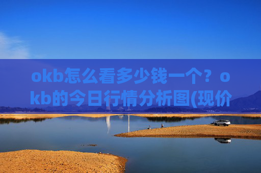 okb怎么看多少钱一个？okb的今日行情分析图(现价317.305元)