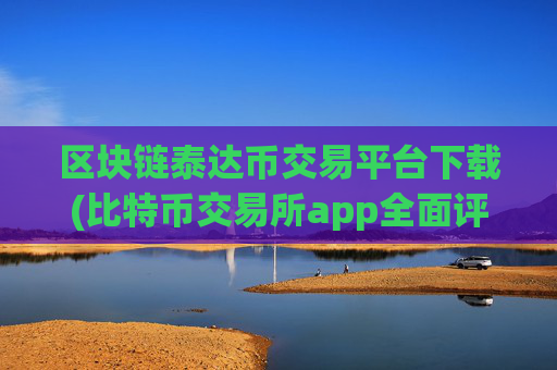 区块链泰达币交易平台下载(比特币交易所app全面评估)