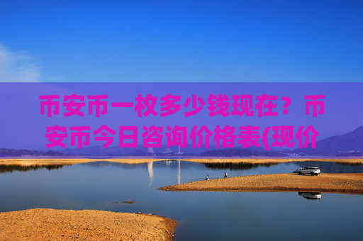 币安币一枚多少钱现在？币安币今日咨询价格表(现价4626.25元)
