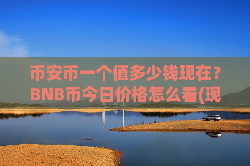 币安币一个值多少钱现在？BNB币今日价格怎么看(现价4627.36元)