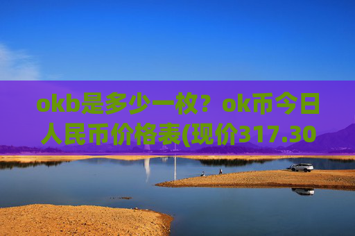 okb是多少一枚？ok币今日人民币价格表(现价317.301元)